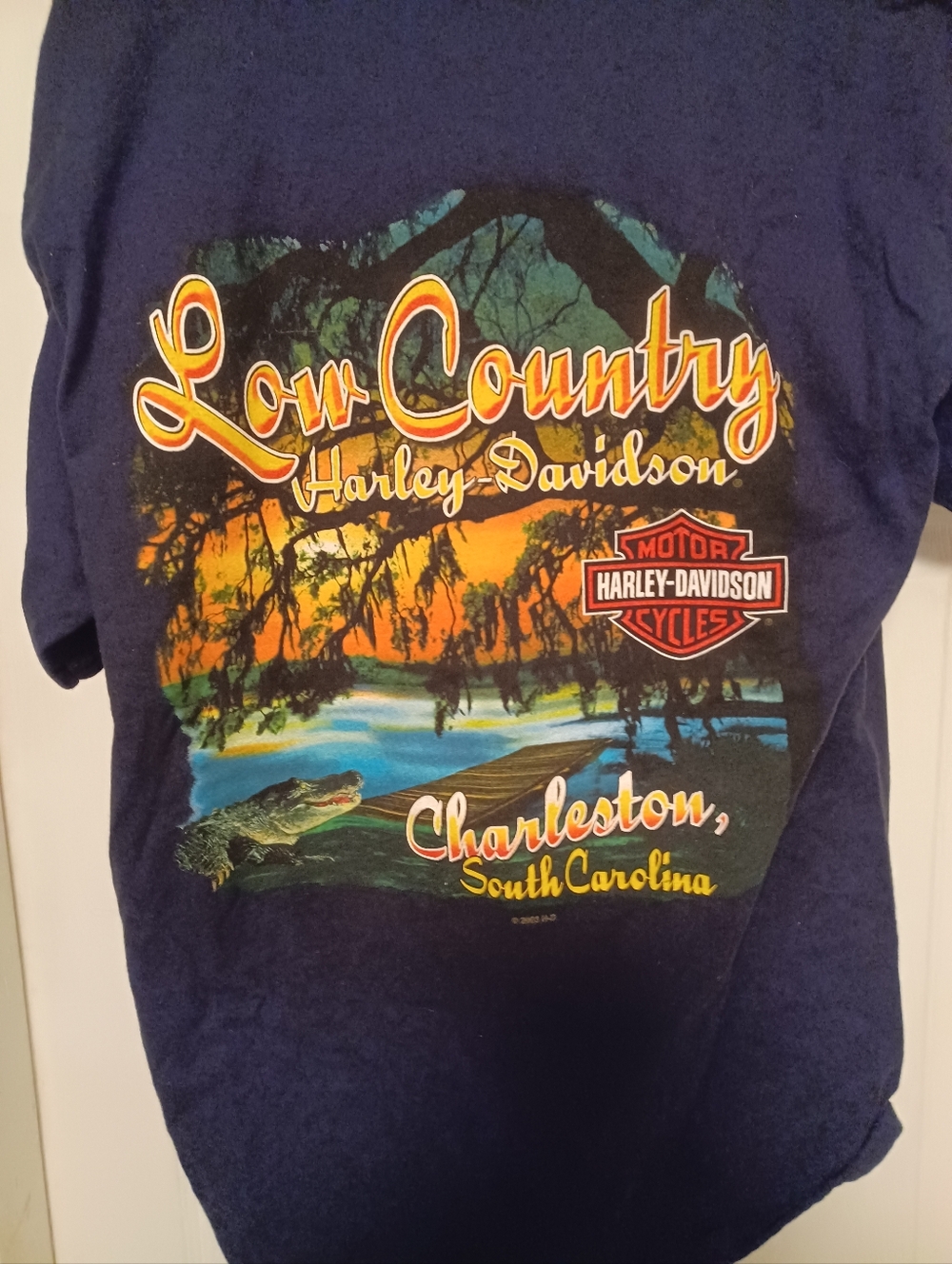 Harley-Davidson , 'Low Country' Charleston Graphic Tee